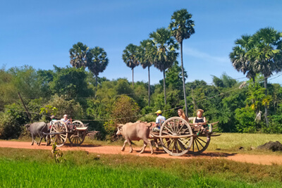 Siem Reap Village Oxcart ride