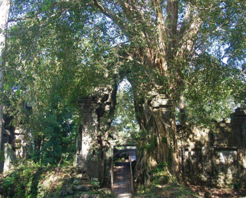 Preah Khan Kampong Svay Temple